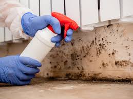 Best Air Quality Testing for Mold Spores in Augusta, WI